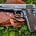 Image of colt 1911 in garden which is the best 1911 pistol